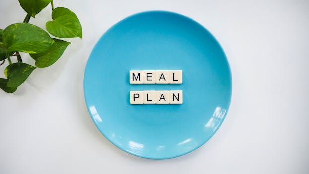 healthy meal plan